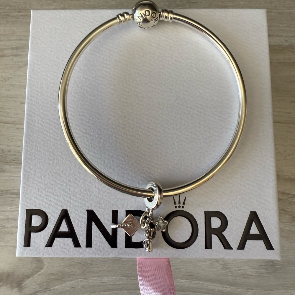 NWT Pandora Silver Charm Bracelet